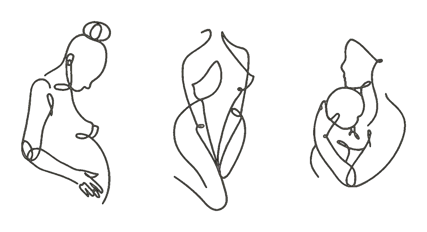 Pelvic wellness illustration